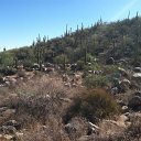 arizona from kells camera - IMG_3155